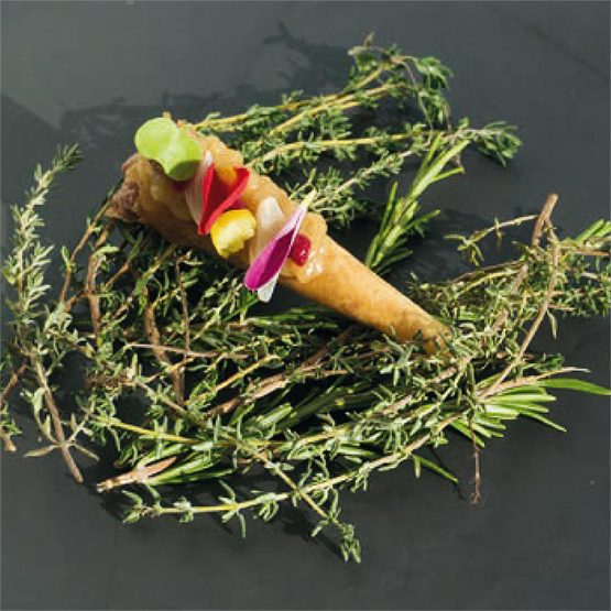 Se trata de un atuténtico festín visual y culinario. Un singular bocado, explosión de sabores y colores cuidadosamente combinados. Un canutillo relleno de tierna carne de vaca combinado con un praliné de cebolla y remolacha picante, coronado con encurtidos y pétalos de flor comestibles.